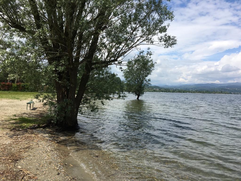 Hotel Lago Maggiore Castelletto sopra Ticino Bagian luar foto